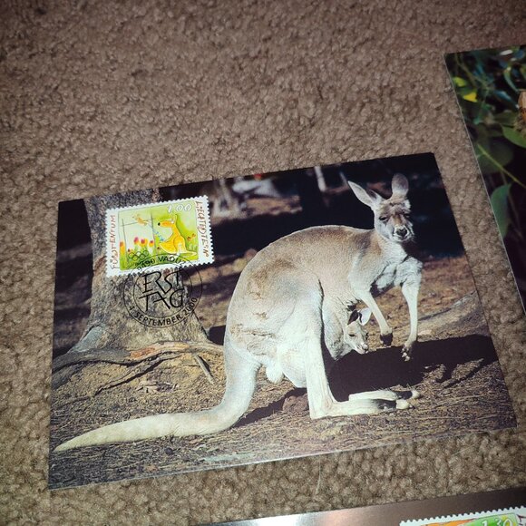 Academia Australian Fauna Animals Maxi Cards Ephemera Liechtenstein Set stamps - Picture 4 of 6